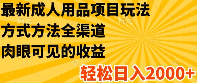 最新成人用品项目玩法，方式方法全渠道，轻松日入2K+【揭秘】-文强博客