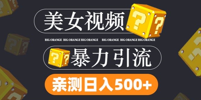 搬运tk美女视频全网分发，日引s粉300+，轻松变现，不限流量不封号【揭秘】-文强博客