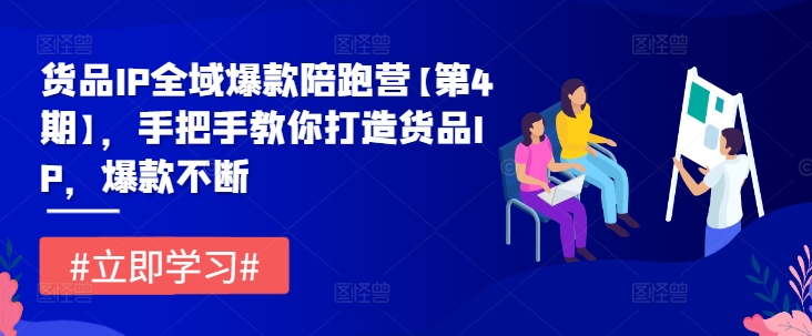 货品IP全域爆款陪跑营【第4期】，手把手教你打造货品IP，爆款不断-文强博客