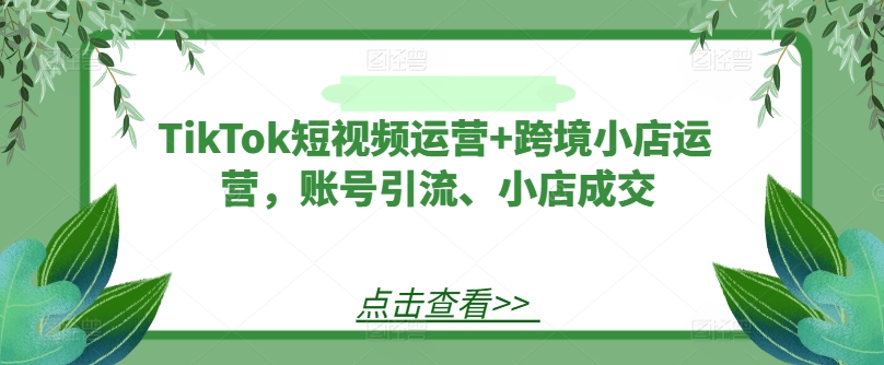 TikTok短视频运营+跨境小店运营，账号引流、小店成交-文强博客