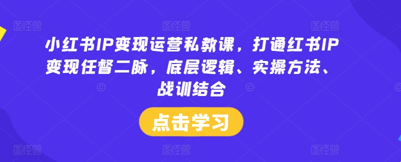 小红书IP变现运营私教课，打通红书IP变现任督二脉，底层逻辑、实操方法、战训结合-文强博客