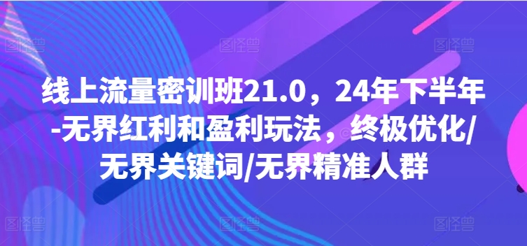 线上流量密训班21.0，24年下半年-无界红利和盈利玩法，终极优化/无界关键词/无界精准人群-文强博客