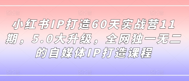 小红书IP打造60天实战营11期，5.0大升级，全网独一无二的自媒体IP打造课程-文强博客