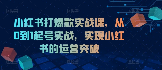 小红书打爆款实战课，从0到1起号实战，实现小红书的运营突破-文强博客