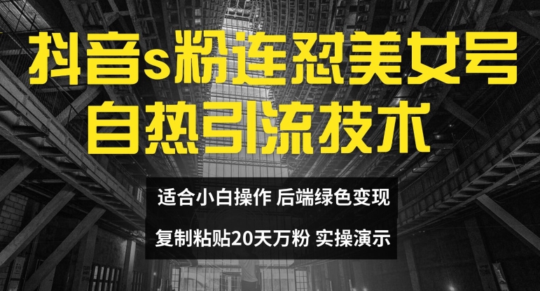 抖音s粉连怼美女号自热引流技术复制粘贴，20天万粉账号，无需实名制，矩阵操作【揭秘】-文强博客