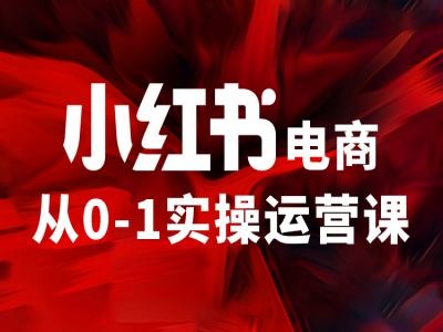 小红书电商从0-1实操运营课，让你从小白到精英-文强博客