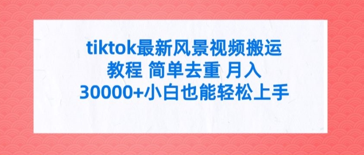 tiktok最新风景视频搬运教程 简单去重 月入3W+小白也能轻松上手【揭秘】-文强博客