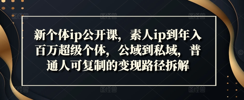 新个体ip公开课，素人ip到年入百万超级个体，公域到私域，普通人可复制的变现路径拆解-文强博客