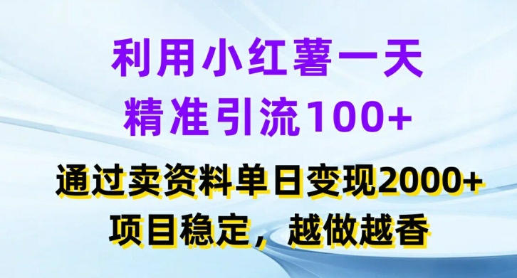 利用小红书一天精准引流100+，通过卖项目单日变现2k+，项目稳定，越做越香【揭秘】-文强博客