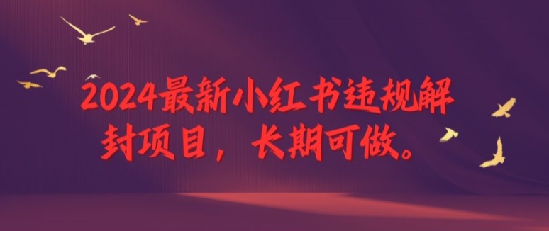 2024最新小红书违规解封项目，长期可做，一个可以做到退休的项目【揭秘】-文强博客