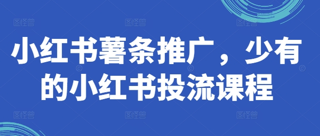 小红书薯条推广，少有的小红书投流课程-文强博客