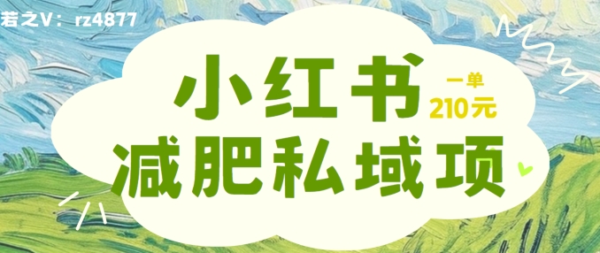 小红书减肥粉，私域变现项目，一单就达210元，小白也能轻松上手【揭秘】-文强博客