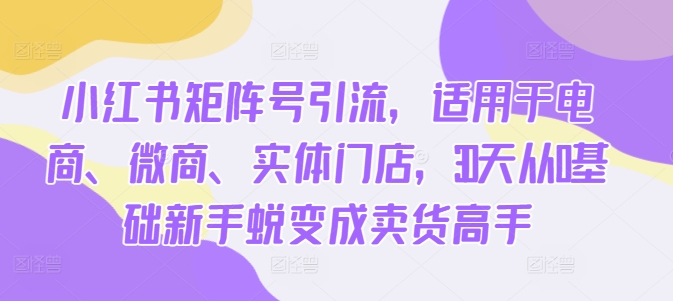 小红书矩阵号引流，适用于电商、微商、实体门店，30天从0基础新手蜕变成卖货高手-文强博客