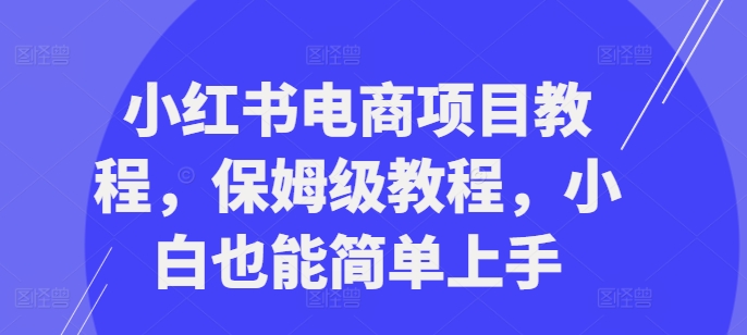 小红书电商项目教程，保姆级教程，小白也能简单上手-文强博客