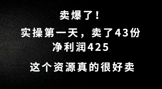 这个资源，需求很大，实操第一天卖了43份，净利润425【揭秘】-文强博客