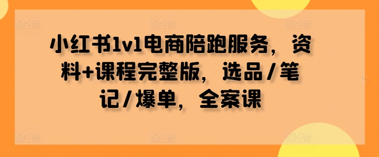 小红书1v1电商陪跑服务，资料+课程完整版，选品/笔记/爆单，全案课-文强博客