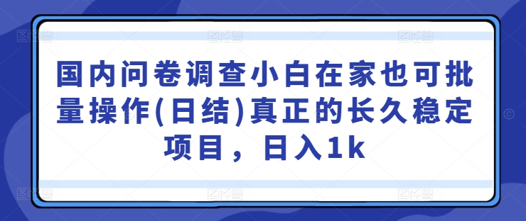 国内问卷调查小白在家也可批量操作(日结)真正的长久稳定项目，日入1k【揭秘】-文强博客