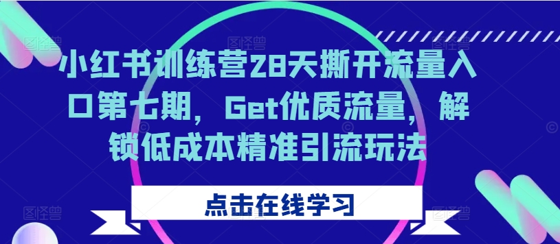 小红书训练营28天撕开流量入口第七期，Get优质流量，解锁低成本精准引流玩法-文强博客