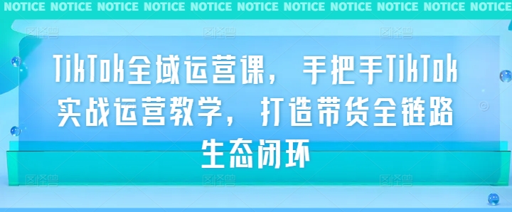 TikTok全域运营课，手把手TikTok实战运营教学，打造带货全链路生态闭环-文强博客