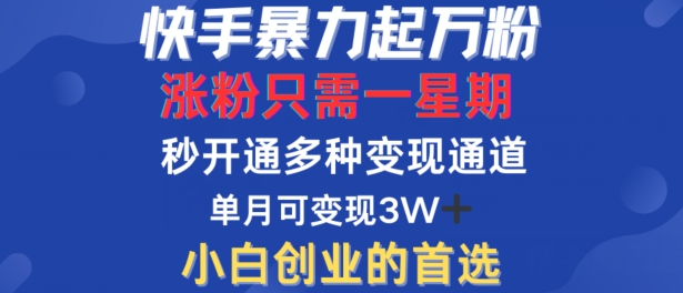 快手暴力起万粉，涨粉只需一星期，多种变现模式，直接秒开万合，单月变现过W【揭秘】-文强博客