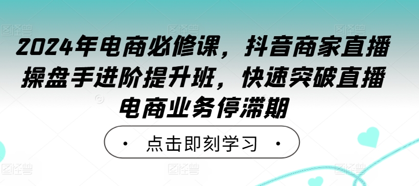 2024年电商必修课，抖音商家直播操盘手进阶提升班，快速突破直播电商业务停滞期-文强博客