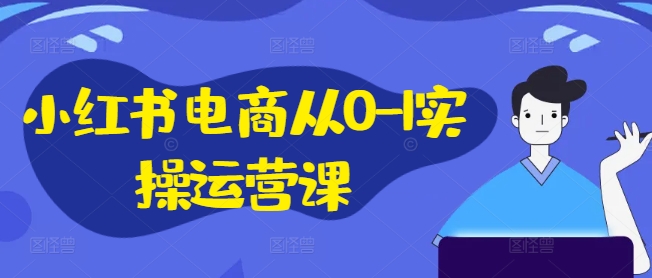 小红书电商从0-1实操运营课，小红书手机实操小红书/IP和私域课/小红书电商电脑实操板块等-文强博客