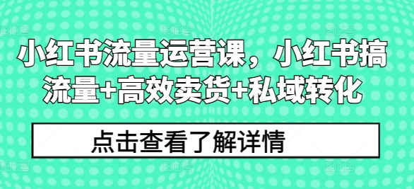 小红书流量运营课，小红书搞流量+高效卖货+私域转化-文强博客