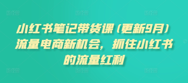 小红书笔记带货课(更新10月)流量电商新机会，抓住小红书的流量红利-文强博客