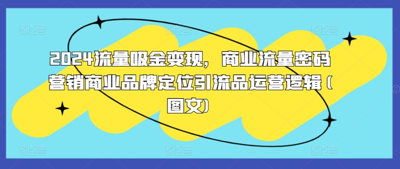 2024流量吸金变现，商业流量密码营销商业品牌定位引流品运营逻辑(图文)-文强博客