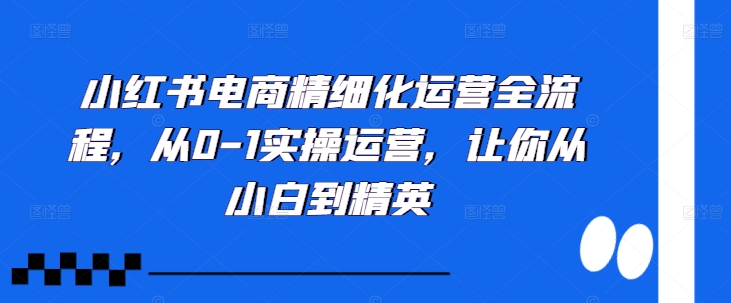 小红书电商精细化运营全流程，从0-1实操运营，让你从小白到精英-文强博客