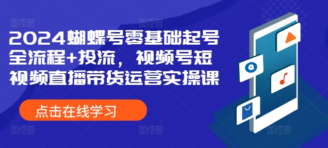 2024蝴蝶号零基础起号全流程+投流，视频号短视频直播带货运营实操课-文强博客