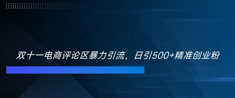 双十一电商评论区暴力引流，日引500+精准创业粉【揭秘】-文强博客