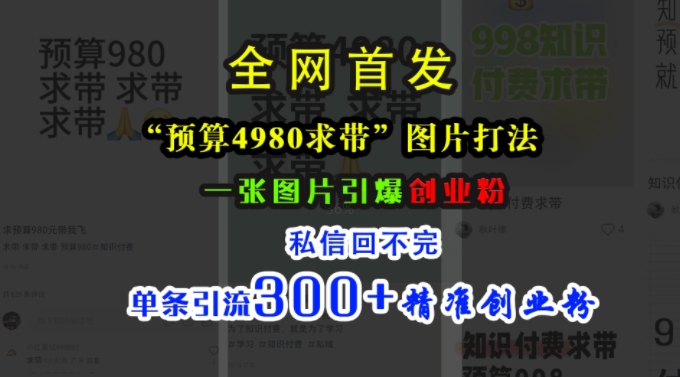 小红书“预算4980带我飞”图片打法，一张图片引爆创业粉，私信回不完，单条引流300+精准创业粉-文强博客