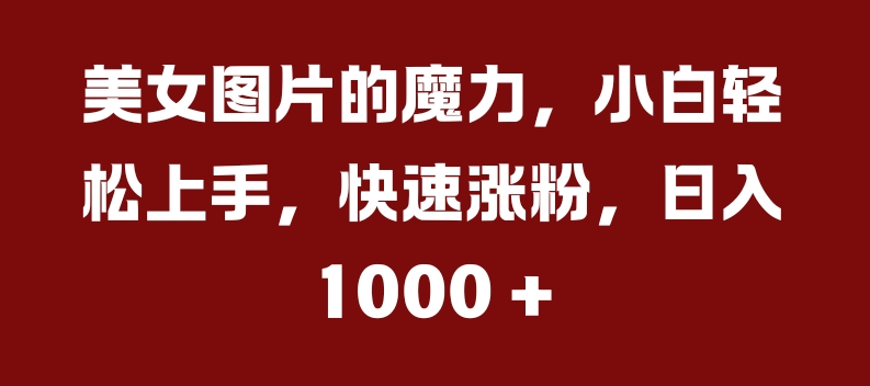 美女图片的魔力，小白轻松上手，快速涨粉，日入几张【揭秘】-文强博客