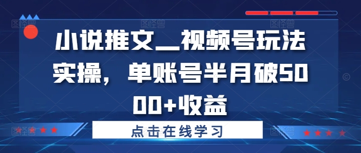 小说推文—视频号玩法实操，单账号半月破5000+收益-文强博客