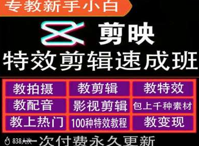 剪映特效教程和运营变现教程，特效剪辑速成班，专教新手小白-文强博客